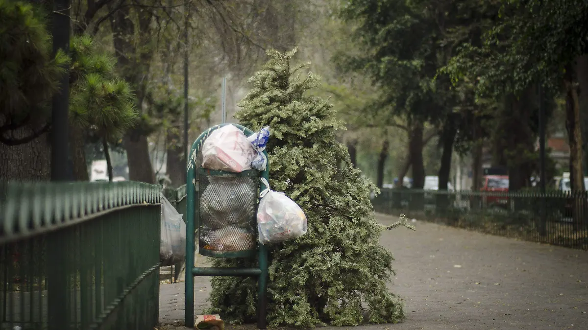 389422_Arbol Navidad Basura-1_impreso